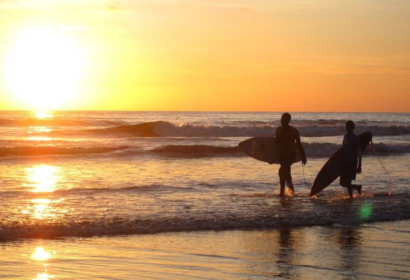 호텔 Ecolodge El Almejal