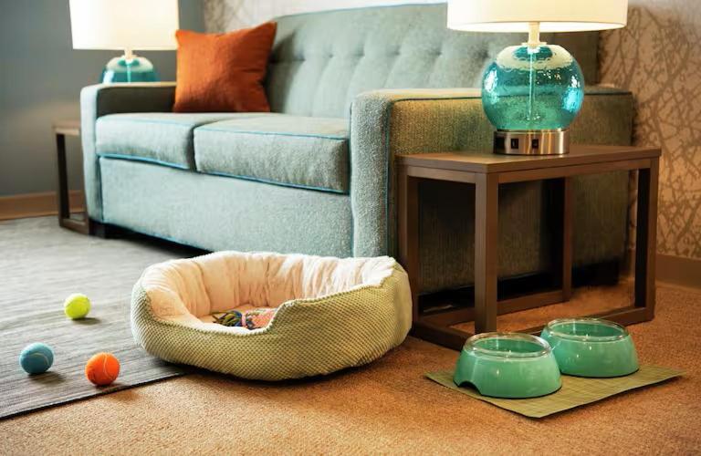 هتل Home2 Suites By Hilton Laredo North