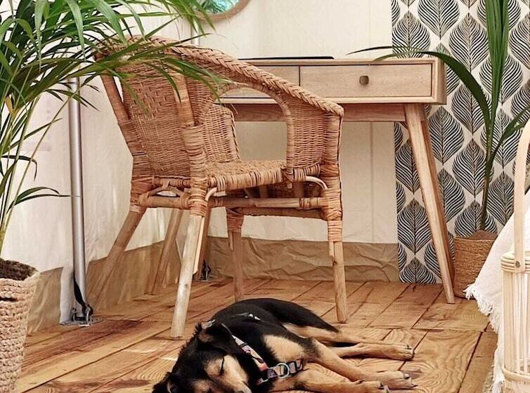 فندق ريفى Tranquilo Glamping