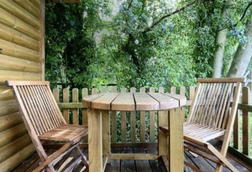 Inviting 1 Bed Cabin In Newmarket