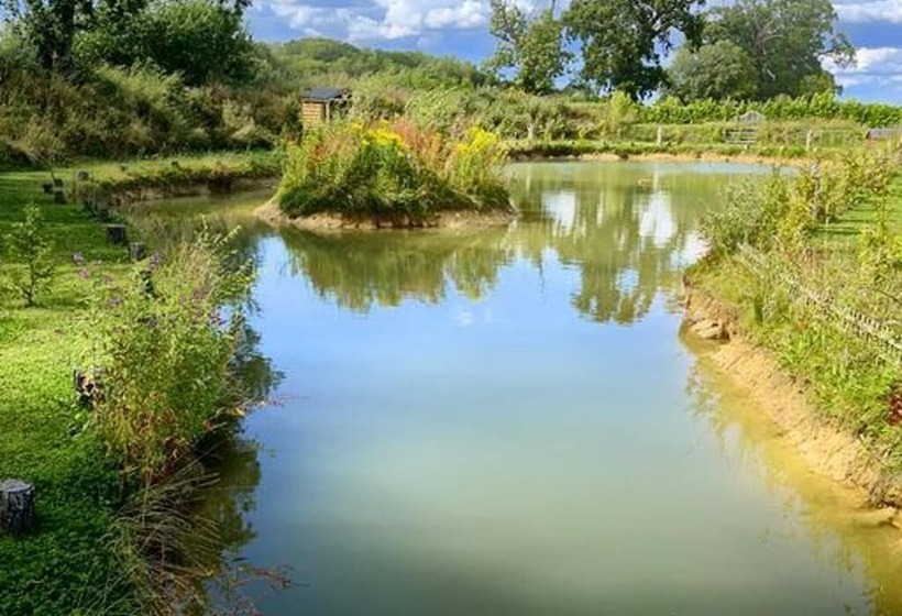 Inviting 1 Bed Cabin In Newmarket