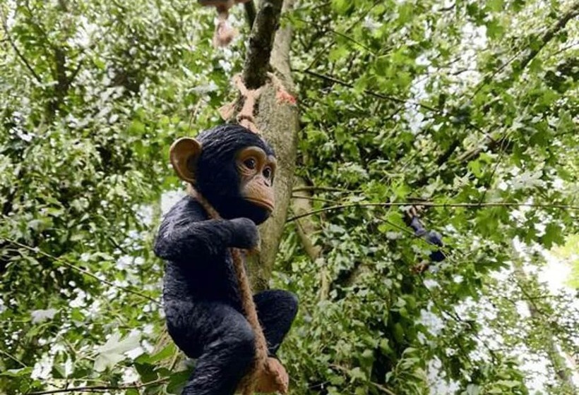 Inviting 1 Bed Cabin In Newmarket