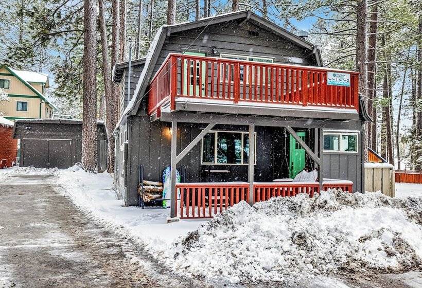 Midnight Pines #2424