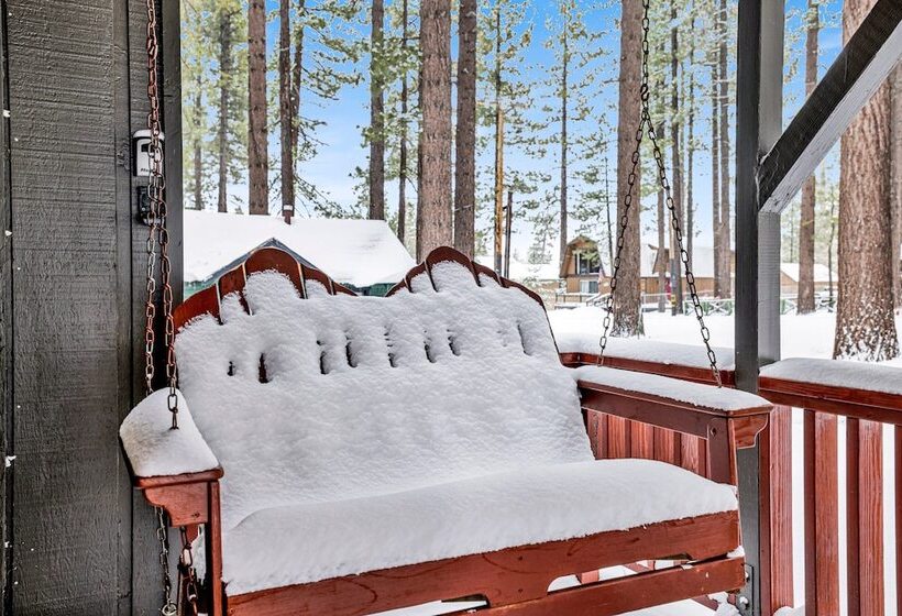 Midnight Pines #2424