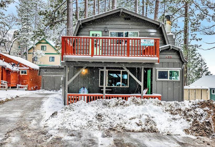 Midnight Pines #2424