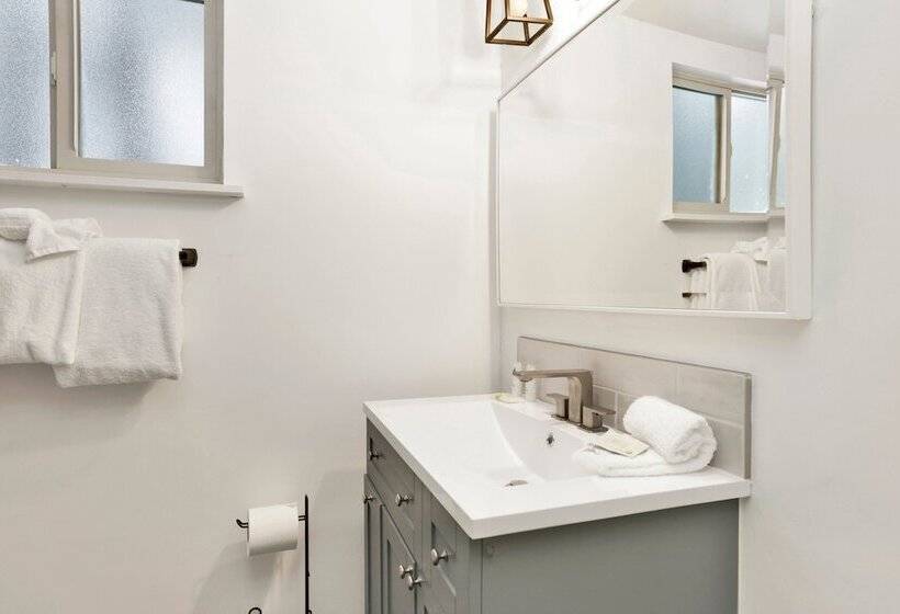 Midnight Pines #2424