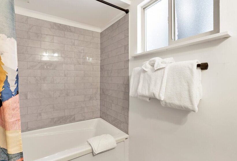 Midnight Pines #2424