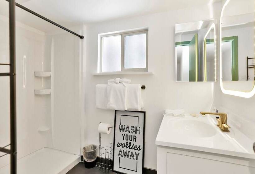 Midnight Pines #2424