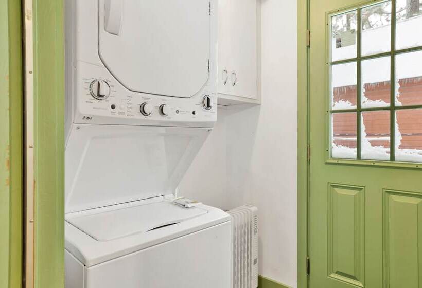 Midnight Pines #2424