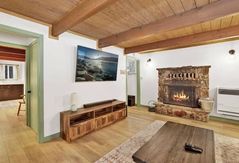 Midnight Pines #2424