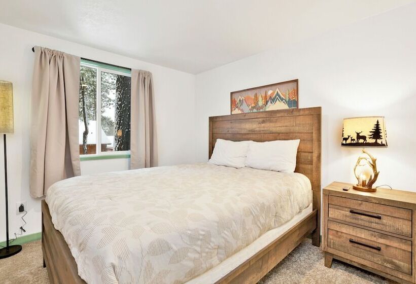 Midnight Pines #2424