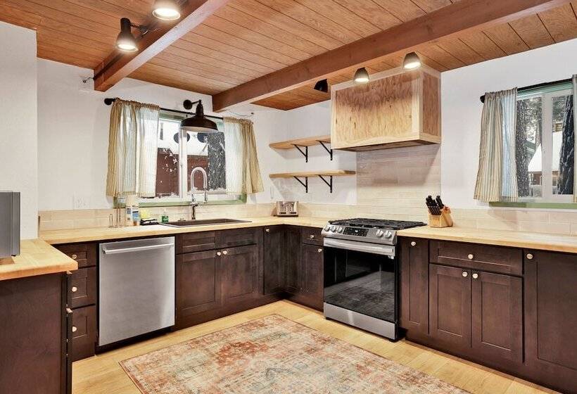 Midnight Pines #2424