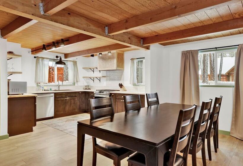 Midnight Pines #2424