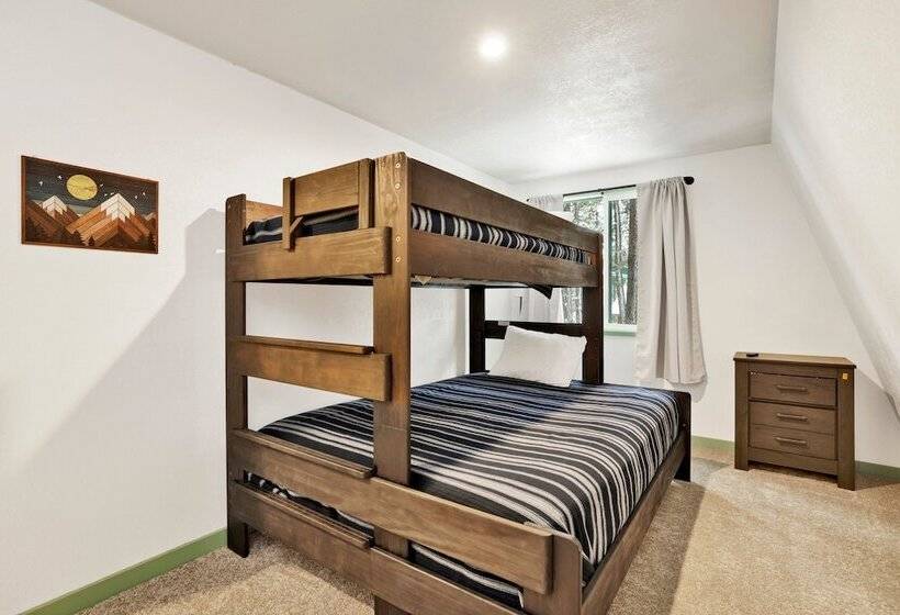 Midnight Pines #2424