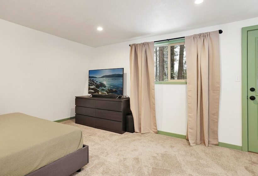 Midnight Pines #2424