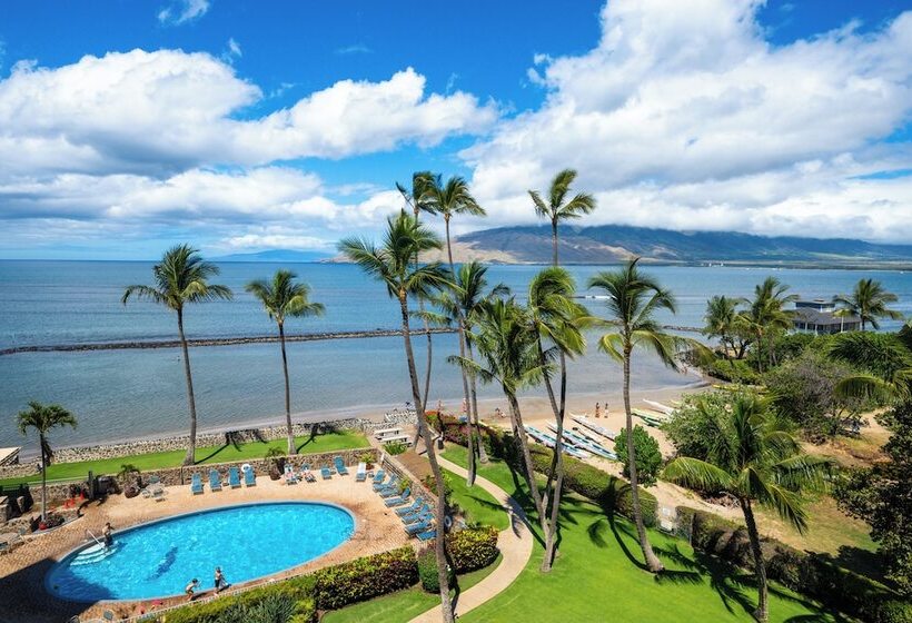 Ocean S Muse Beachfront Condo