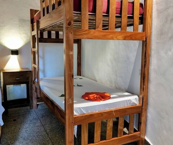 Пансион Lala Land Lodge