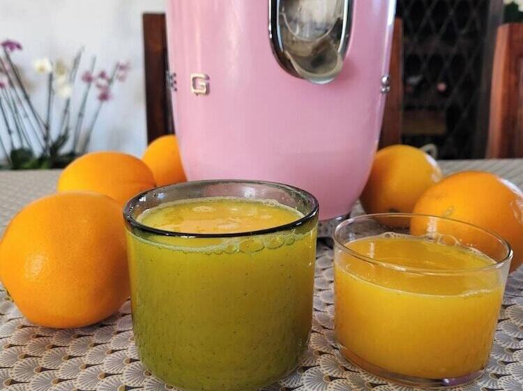 膳宿费 Las Mariposas