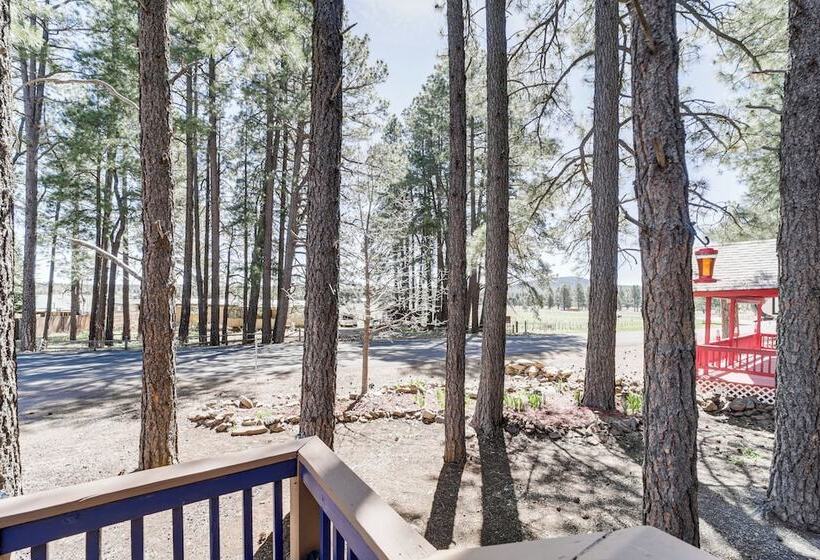 Nearby Hiking: Pet Friendly Cabin In Mormon Lake