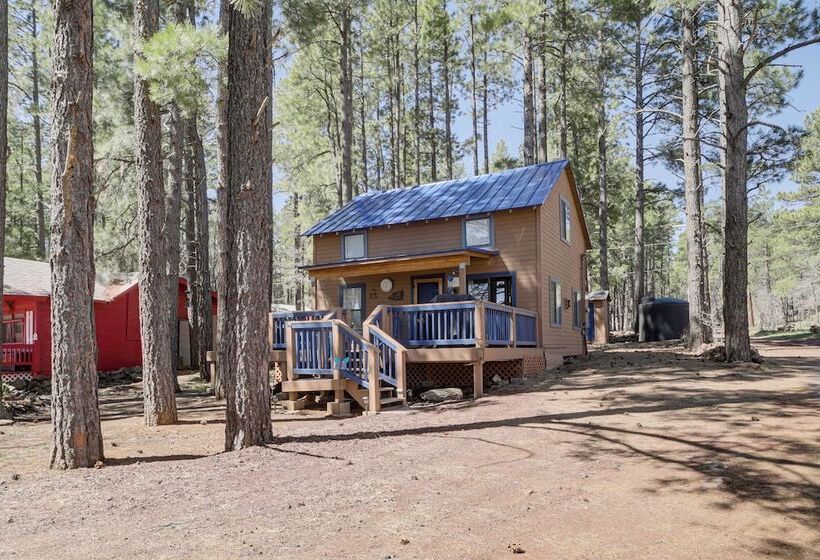 Nearby Hiking: Pet Friendly Cabin In Mormon Lake