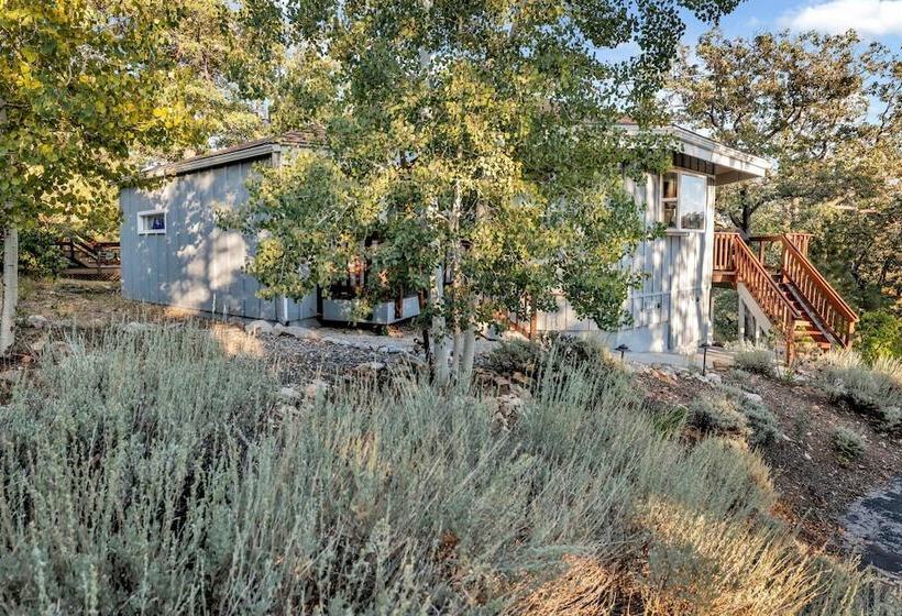 Piney Ridge Dome Home #2168