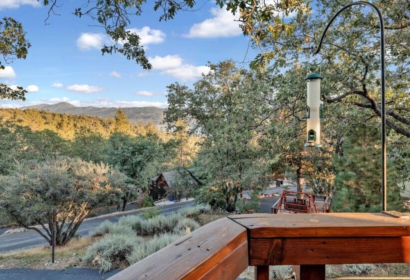 Piney Ridge Dome Home #2168