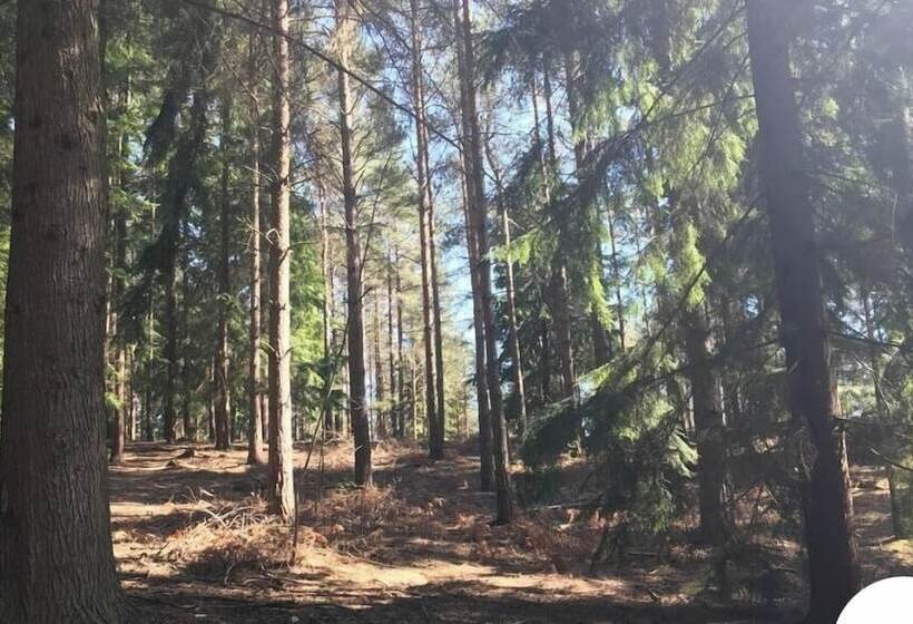 레지던스 Stunning 4 Bed House In Camberley