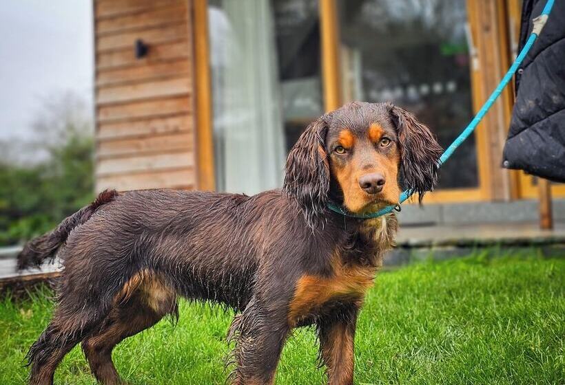 منتجع Hay S Wood Retreat