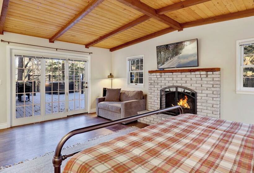 Splash Mountain #1904