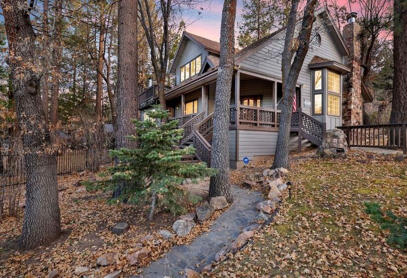 Splash Mountain #1904