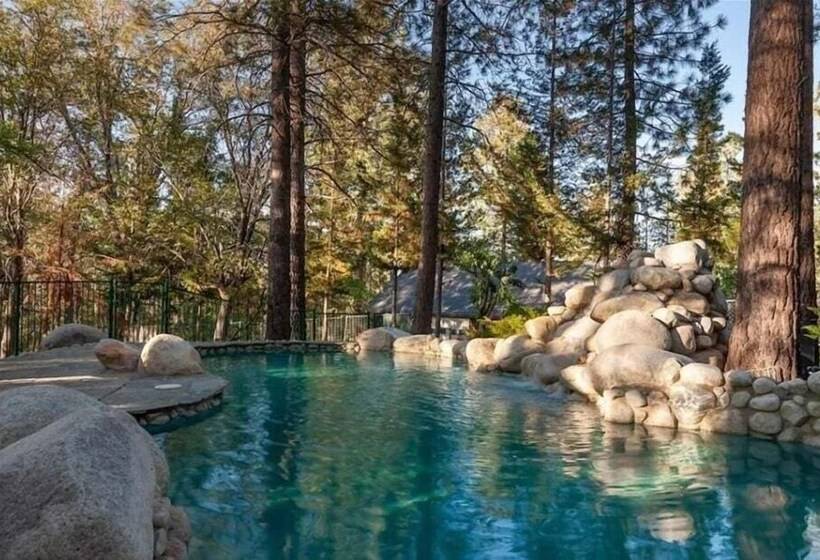 Splash Mountain #1904