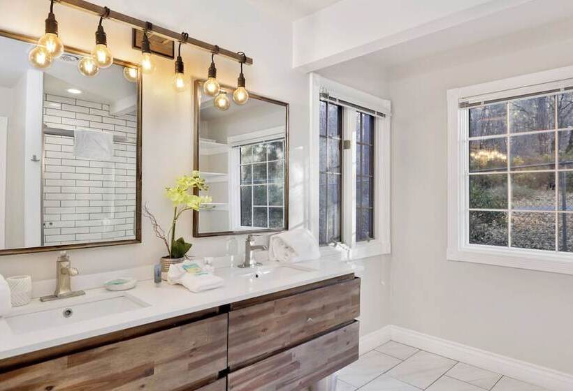 Splash Mountain #1904