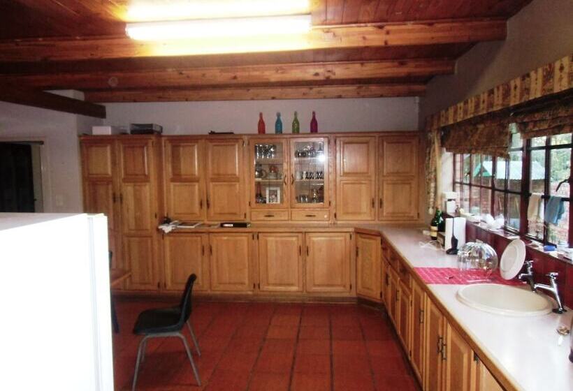 فندق صغير Blue Moon Backpackers