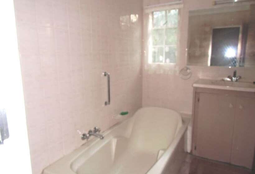 فندق صغير Blue Moon Backpackers