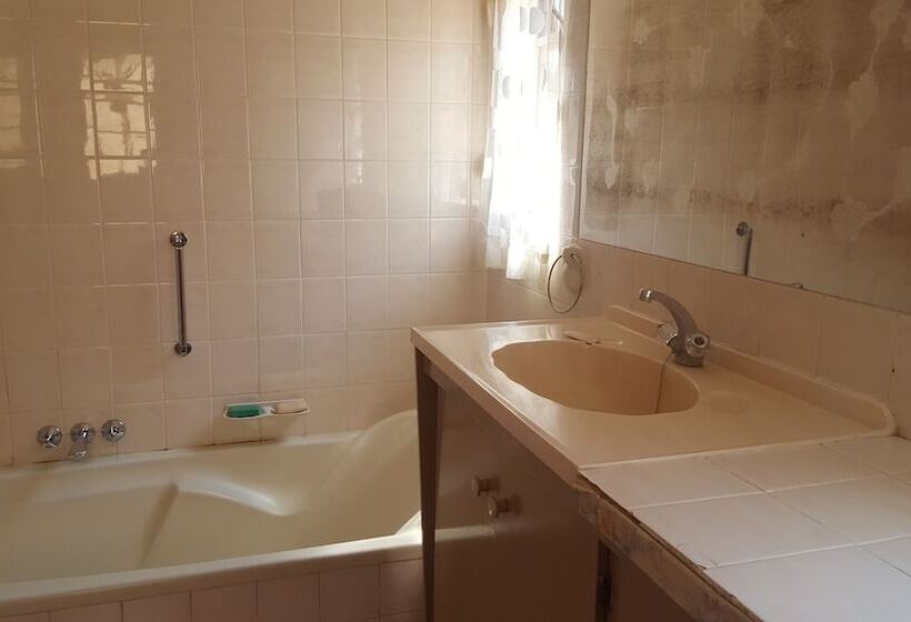 فندق صغير Blue Moon Backpackers