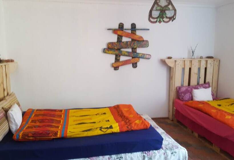 فندق صغير Blue Moon Backpackers