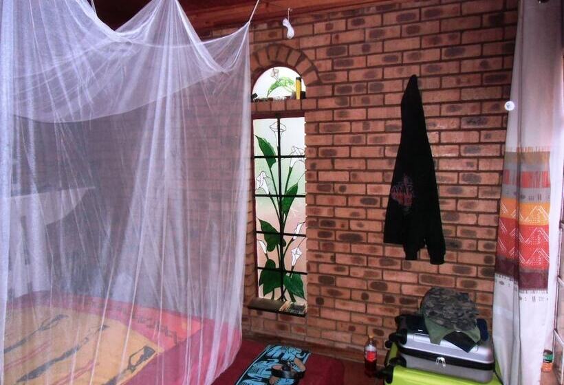 فندق صغير Blue Moon Backpackers