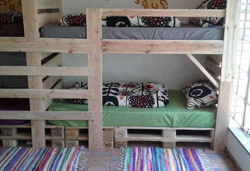 فندق صغير Blue Moon Backpackers