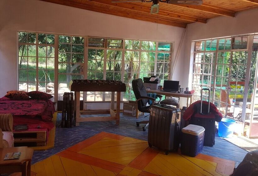 فندق صغير Blue Moon Backpackers