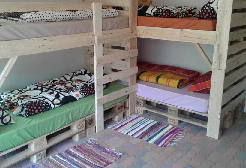 فندق صغير Blue Moon Backpackers