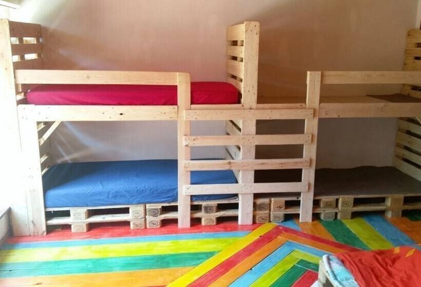 فندق صغير Blue Moon Backpackers