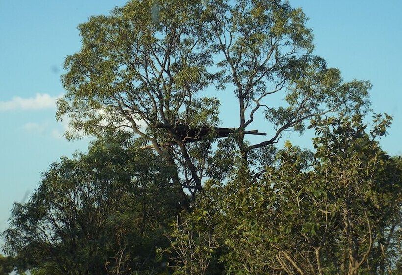 فندق صغير Blue Moon Backpackers