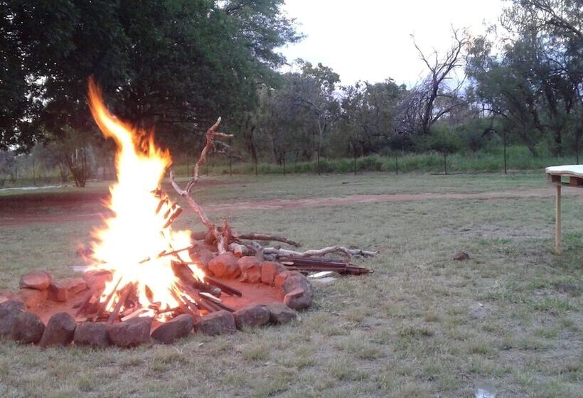 فندق صغير Blue Moon Backpackers