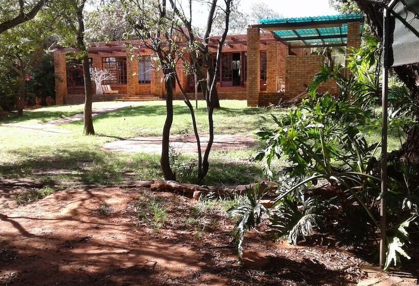 فندق صغير Blue Moon Backpackers