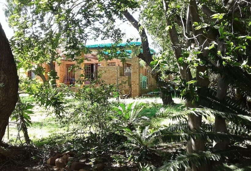 فندق صغير Blue Moon Backpackers