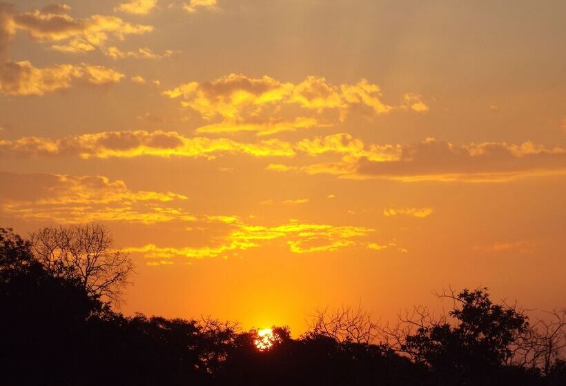 فندق صغير Blue Moon Backpackers