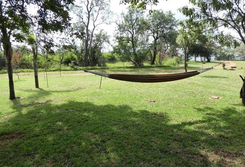 فندق صغير Blue Moon Backpackers