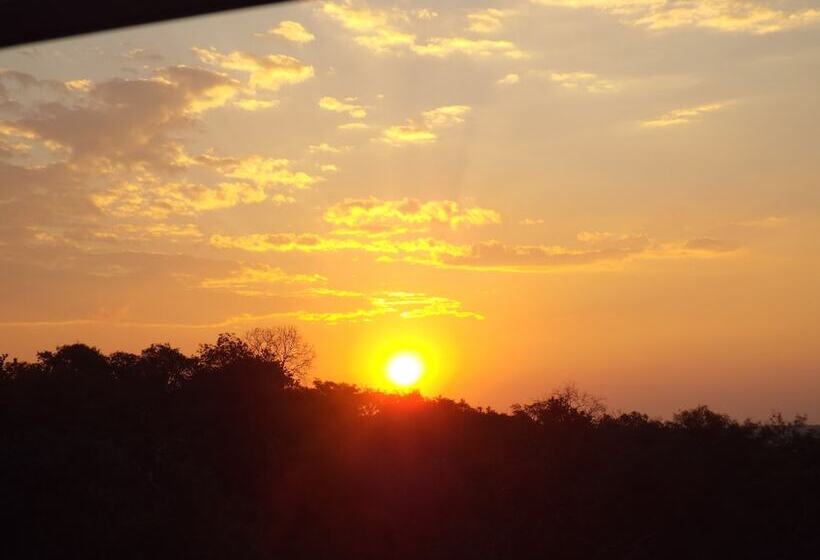 فندق صغير Blue Moon Backpackers