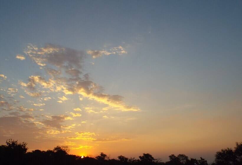 فندق صغير Blue Moon Backpackers