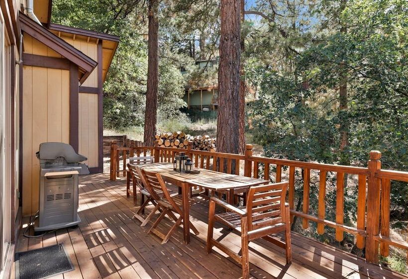 Alpine Adventure #2166